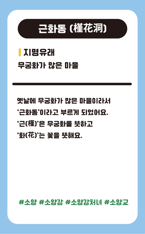 근화동